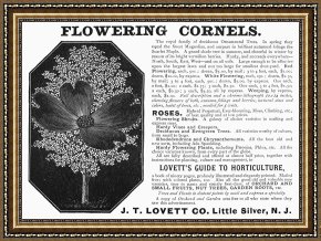 Advertisement Framed Prints - Flower Advertisement, 1890 by Others