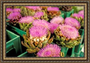 Germany: Berlin, C1961 Framed Prints - Germany Aachen Munsterplatz Artichoke Flowers by Others