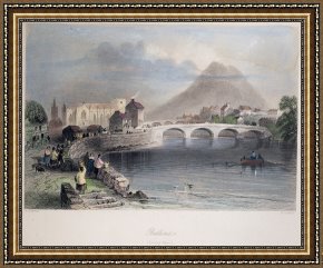 Swine, 19th Century Framed Prints - IRELAND, 19th CENTURY by Others