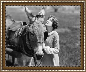 Animals Framed Prints - Silent Film Still: Animal by Others