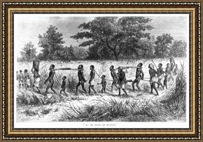 Swine, 19th Century Framed Prints - SLAVE TRADE: 19th CENTURY by Others