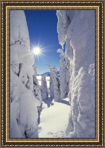 Cold Framed Paintings - Snowscape Snow Covered Trees And Bright Sun by Others