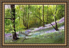 Path Framed Prints - Path through bluebell wood by Paul Dene Marlor