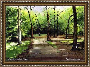 Path Framed Prints - Path Through Judy Woods by Paul Dene Marlor