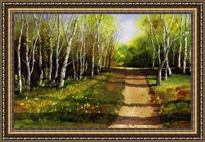 Path Framed Prints - Path through Silver Birches by Paul Dene Marlor