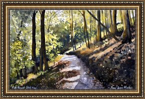 Path Framed Prints - Path Through Strid Wood by Paul Dene Marlor