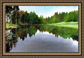 Water Framed Paintings - Still Water Tarn Hows by Paul Dene Marlor