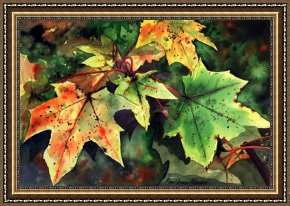 Leaves Framed Paintings - Sycamore Leaves by Paul Dene Marlor