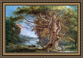 Tree Framed Prints - An Ancient Beech Tree by Paul Sandby