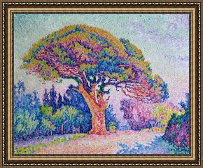Tree Framed Prints - The Pine Tree at Saint Tropez by Paul Signac