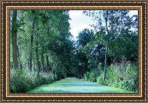 Between Geest And Marsh Framed Paintings - Poitevin Marsh by Poitevin Marsh