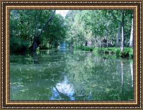 Between Geest And Marsh Framed Paintings - Poitevin Marsh by Poitevin Marsh