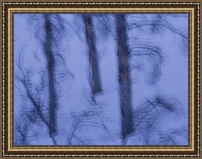 Cold Framed Paintings - A Cold Wintry View of Leafless Trees in a Snowy Landscape by Raymond Gehman
