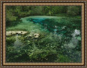 Raymond Gehman Framed Prints - Algae Bloom in a Woodland Pond Or Marsh by Raymond Gehman