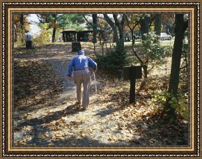 Walking The Plank Framed Paintings - An Old Man Walking a Path at The Pinnacles Picnic Area by Raymond Gehman