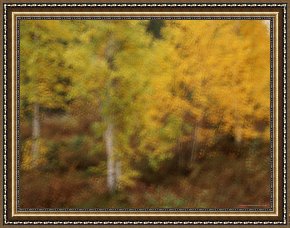 Night View of a Barge And It's Tug on The Kanawha River Framed Paintings - Blurred View of Autumn Foliage Along The Mckenzie River by Raymond Gehman