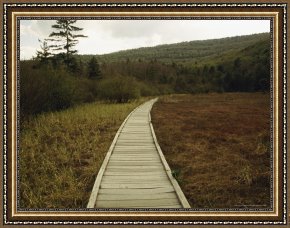 Round Midnight Framed Prints - Boardwalk Through Round Glade in Autumn by Raymond Gehman