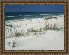 Raymond Gehman Framed Prints - Dune Grasses Hold White Sand in Place Along a Stretch of Beach by Raymond Gehman
