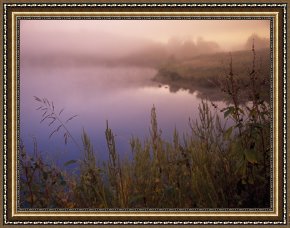 Raymond Gehman Framed Prints - Foggy Sunrise Over Water by Raymond Gehman