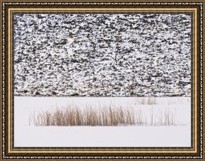 Between Geest And Marsh Framed Paintings - Frozen Pond Marsh Grass And Talus Slope Yellowstone National Park by Raymond Gehman