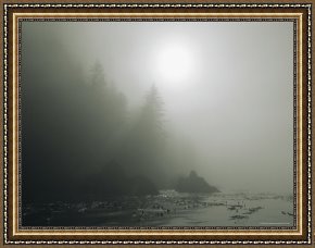 Misty Framed Prints - Kelp Floats Off The Misty Shoreline of Gwaii Haanas National Park by Raymond Gehman