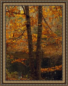 Leaves Framed Paintings - Leaves Fall From Beech Tree Along The Obed Wild And Scenic River by Raymond Gehman