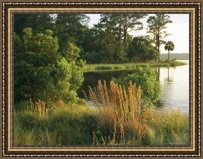 Between Geest And Marsh Framed Paintings - Marsh on Ace Basin's Bear Island by Raymond Gehman