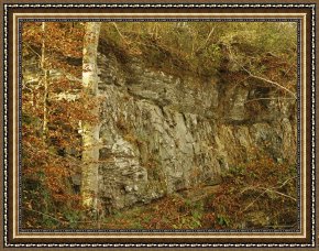 Raymond Gehman Framed Prints - Raven Rock And Autumn Colored Beech Trees Along The Cape Fear River by Raymond Gehman