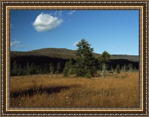 Round Midnight Framed Prints - Round Glade with Evergreen Trees And Low Mountain Ridges by Raymond Gehman