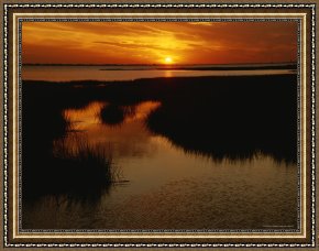 Between Geest And Marsh Framed Paintings - Sunset Over a Salt Marsh with Cordgrass by Raymond Gehman