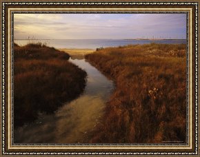 Between Geest And Marsh Framed Paintings - Tidal Creek Through Salt Marsh Grasses by Raymond Gehman