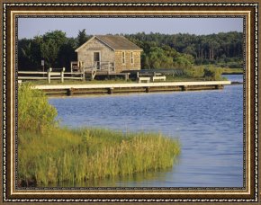 Between Geest And Marsh Framed Paintings - Tidal Marsh of Assateague Island by Raymond Gehman