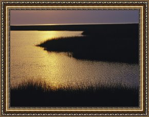 Between Geest And Marsh Framed Paintings - Twilight on a Marsh with Aquatic Grasses by Raymond Gehman