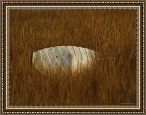 Between Geest And Marsh Framed Paintings - Watermans Boat Upturned in a Cordgrass Salt Marsh by Raymond Gehman