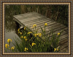 Field of Yellow Irises at Giverny Framed Paintings - Yellow Irises Blooming by a Small Deck in a Calm Pond by Raymond Gehman