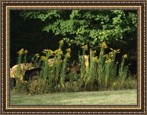 Raymond Gehman Framed Prints - Yellow Tractor Hidden Behind Tall Plants by Raymond Gehman