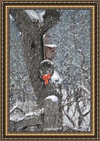 House Framed Prints - A Christmas Bird House by Richard De Wolfe