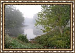 Misty Framed Prints - Misty Creek 1 by Richard De Wolfe
