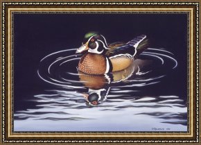 Reflections of Portofino Framed Prints - Royal Reflections by Richard De Wolfe