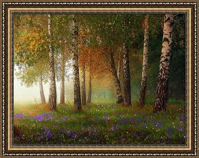 Newburyport Meadows Framed Prints - Birch Meadow by Robert Foster