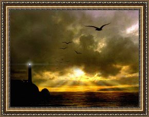 Robert Framed Prints - Gull Flight by Robert Foster