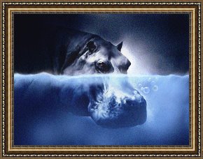 Robert Foster Framed Prints - Hippo by Robert Foster