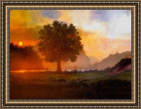Tree Framed Prints - Lone Tree by Robert Foster
