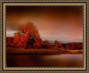Tree Framed Prints - Red Tree River by Robert Foster