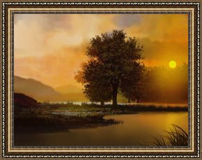 Tree Framed Prints - River Tree by Robert Foster