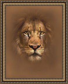 Robert Framed Prints - Scarface by Robert Foster