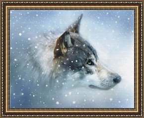 Robert Foster Framed Prints - Snow Eyes by Robert Foster