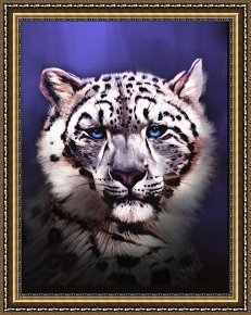 Robert Framed Prints - Snow Leopard by Robert Foster