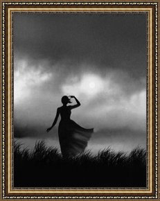 Robert Framed Prints - Storm Watcher by Robert Foster