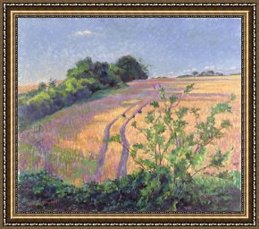 Robert Framed Prints - Golden Summer by Robert Tyndall